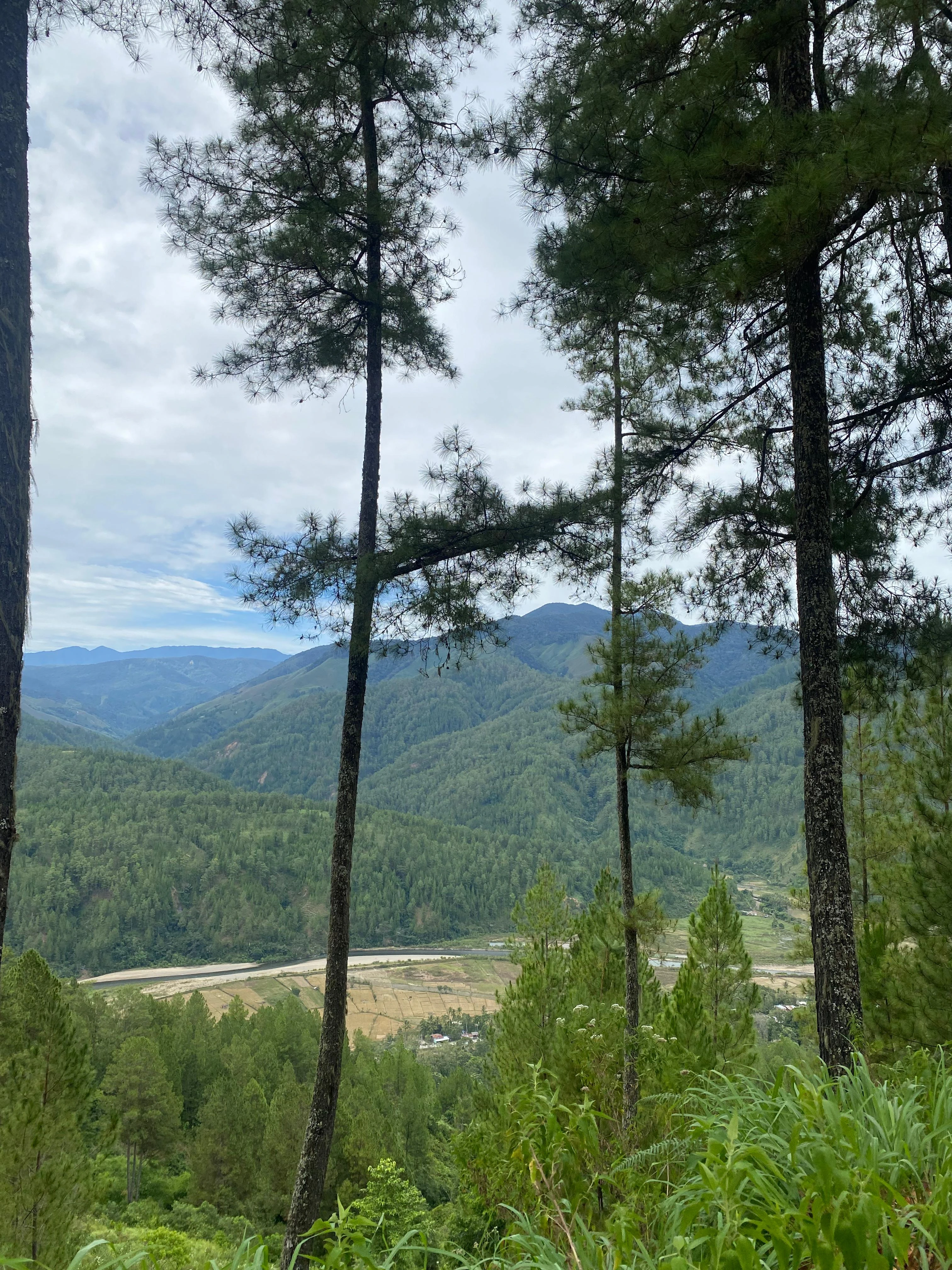 Gunung dengan kabut